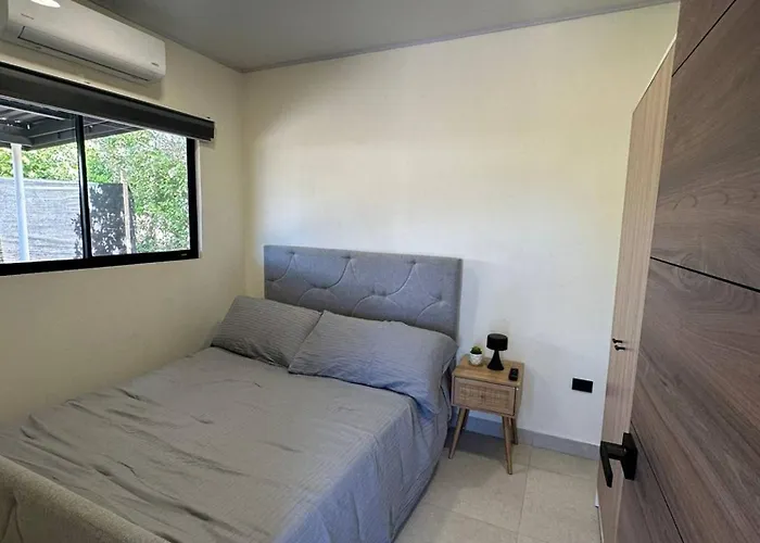 Temptika 1, New * Tempate
